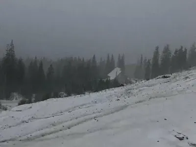 Мороз и снег: на высокогорье Карпат разыгралась "зима"