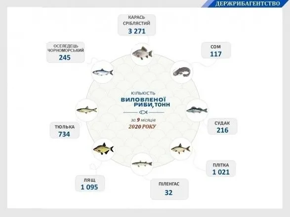 z-pochatku-roku-v-ukrayini-vilovili-mayzhe-20-tonn-ribi-ta-vodnikh-bioresursiv