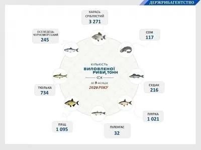 З початку року в Україні виловили майже 20 тис. тонн риби та водних біоресурсів