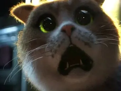 В сети появился первый хоррор-фильм для кошек с необычным главным злодеем