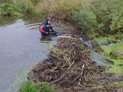В реке во Львовской области нашли останки мужчины