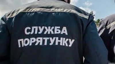 На Луганщині рятувальники допомогли дитині спуститися з терикону