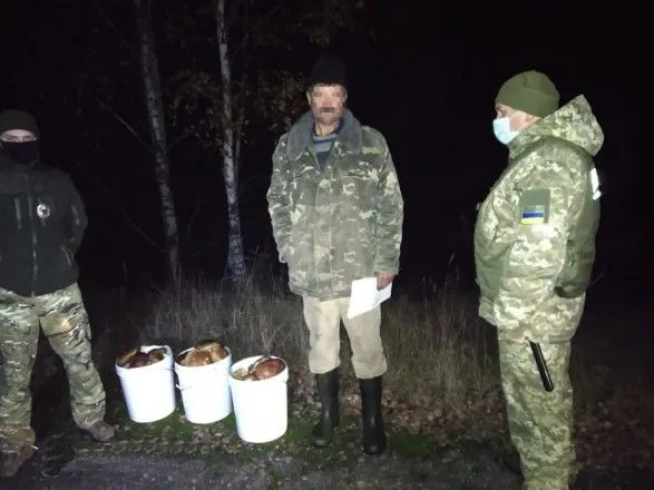 В "чернобыльской зоне" двое мужчин собрали 40 кг грибов