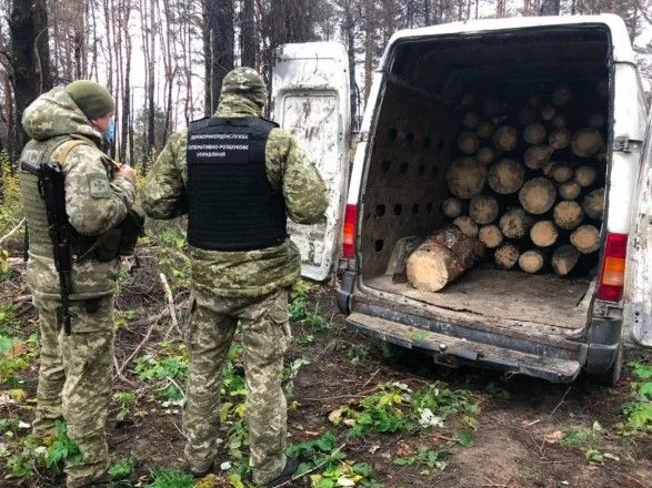 В Киевской области за кражу леса задержали нелегала из РФ