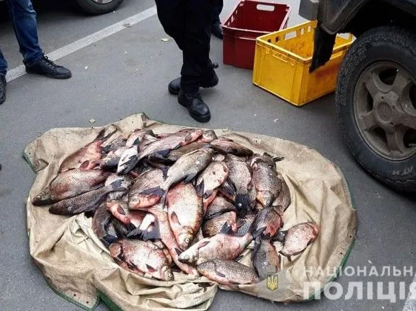 На Чернігівщині на браконьєрстві викрили співробітників рибохорони