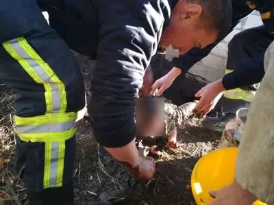 В Днепропетровской области в выгребную яму упал малыш