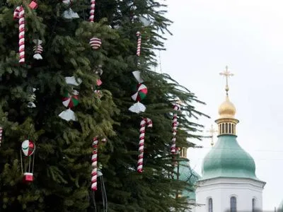 Гослесагентсво призывает украинцев покупать живые елки: какой будет нынешняя цена