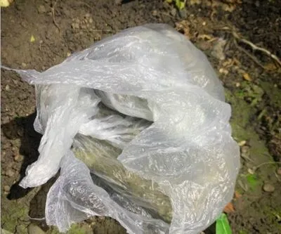 На Прикарпатті за збут наркотиків затримали правоохоронця: проводиться 26 обшуків