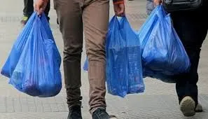 Парламент Германии принял запрет пластиковых пакетов