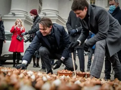Дипломаты из Украины и Нидерландов высадили в Киеве 100 тыс. тюльпанов в честь Героев Небесной Сотни