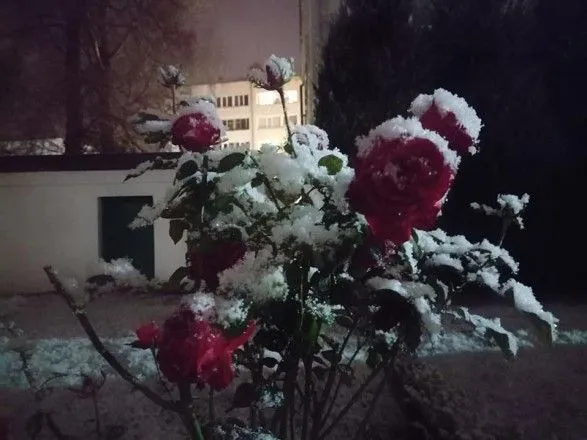 Захід України замело снігом
