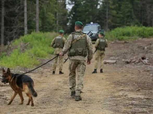 На украинского пограничника и его пса напала лиса