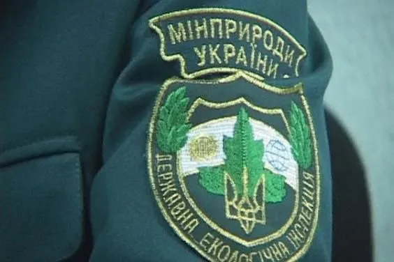 Украина совместно с Интерполом будет выявлять преступления в сфере охраны леса