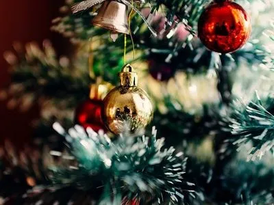 В Гослесагентстве дали советы, как правильно выбрать и ухаживать за новогодней елкой