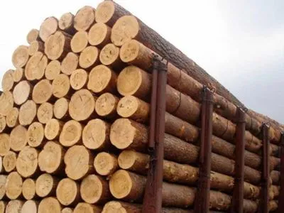 Арбітраж по лісу виніс рішення: Україна має право обмежувати експорт