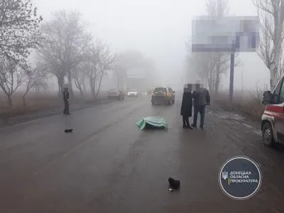 У Донецькій області іномарка насмерть збила дитину