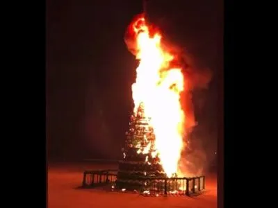 В центре Чаплинки полностью сгорела новогодняя елка