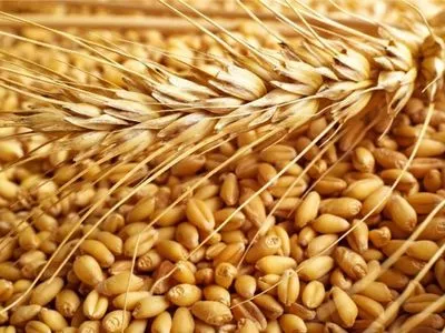 В Україні не будуть вводити обмеження на експорт зерна