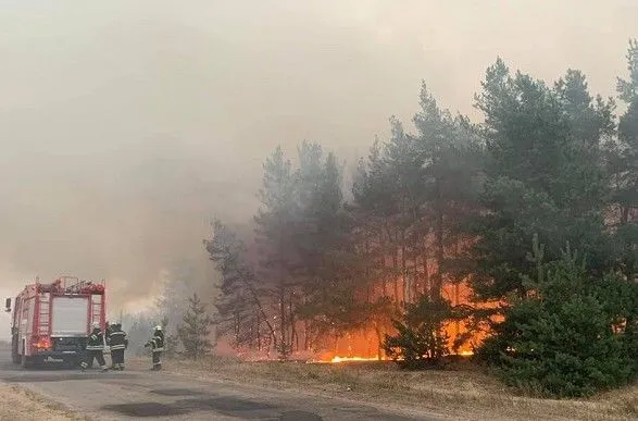 ВСК по пожарам в Луганской области распланировала свою работу: вызывают руководство ОГА