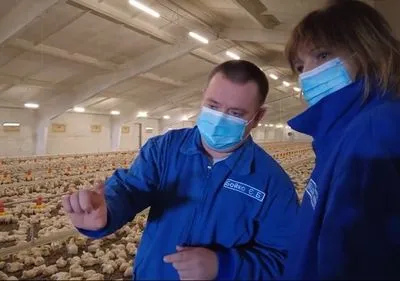 Лікар-дієтолог побачила зсередини виробництво курятини "Наша Ряба"