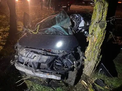 В Николаевской области автомобиль слетел с трассы и врезался в дерево