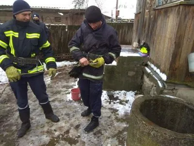 В Житомирской области мужчина утонул в колодце в собственном дворе
