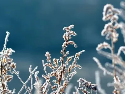 В Васильев день в Украине ударят морозы