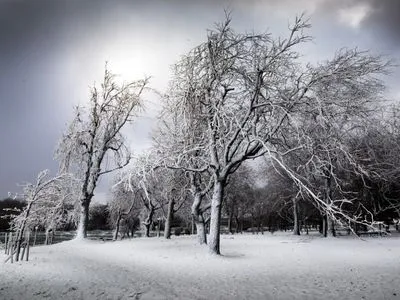 Сувора зима з екстремальними морозами: синоптики дали прогноз на три дні