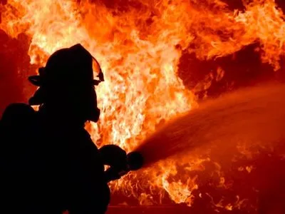 В Кривом Роге на пожаре в жилом доме погибли два человека