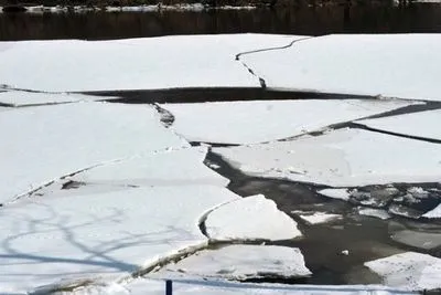 В Киеве спасли собаку, который провалился под лед: видео
