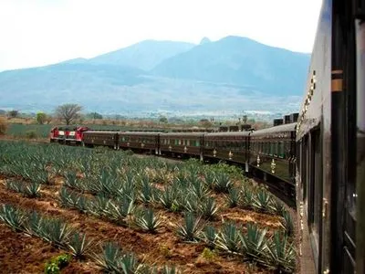 Текила-поезд: в Мексике запустили роскошный локомотив с безлимитным алкоголем