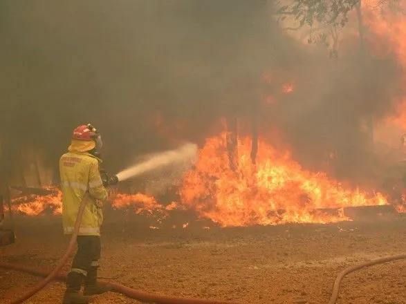 Масштабні лісові пожежі накрили Австралію: випалено тисячі гектарів лісу