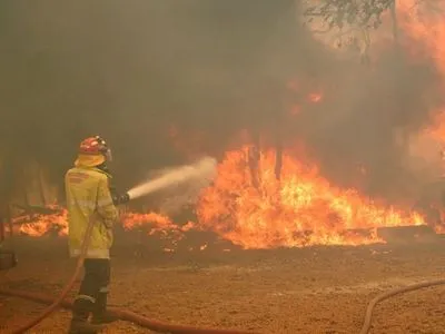 Масштабные лесные пожары накрыли Австралию: выжжено тысячи гектаров леса