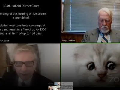 “Я тут, я не кіт”: прокурор з США випадково використав “котячий” фільтр під час судового засідання в Zoom