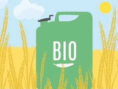 Энергетический прорыв для Украины: эксперты о перспективах производства экогаза и биотоплива