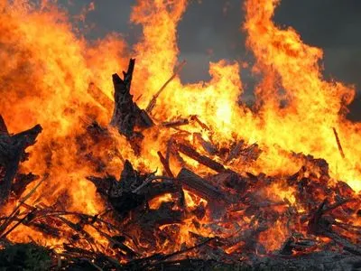 У Києві в парку “Муромець” масштабна пожежа