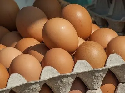 Українські виробники отримали можливість експортувати яйця до Ефіопії
