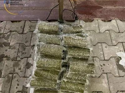 Житель Херсона хотел провезти 20 кг каннабиса в Россию через Крым