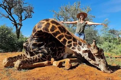 В ЮАР муж с женой убили жирафа и сделали с его сердца "валентинку"
