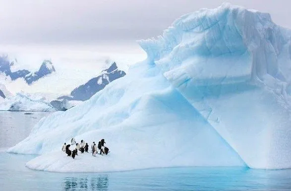 v-antarktidi-vidkolovsya-aysberg-rozmirom-v-tsile-misto