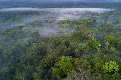 На Facebook незаконно продают участки тропических лесов Амазонии