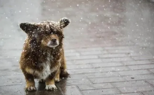 Зима будет прощаться с Украиной небольшим снегом и морозами
