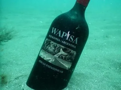 Девять месяцев старения на дне океана: виноделы получили результат эксперимента с вином