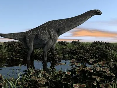 В Аргентині знайшли скам'янілості величезного динозавра, що жив 140 мільйонів років тому