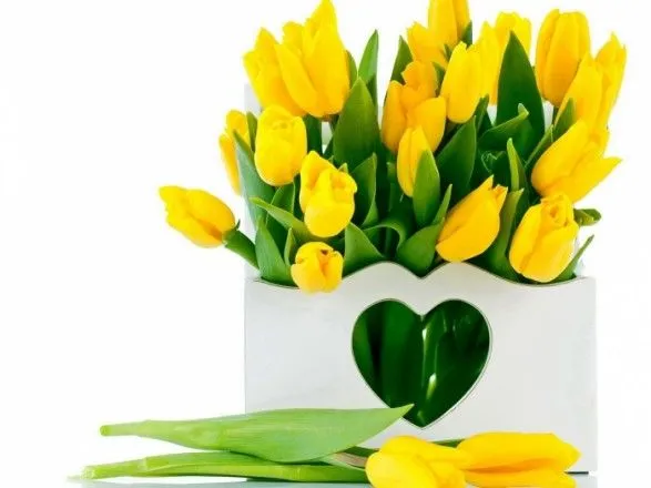 Стоит ли бояться желтых тюльпанов? Флорист дал советы, как выбрать цветы по цветам