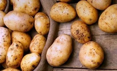 Экспорт украинского картофеля под угрозой срыва из-за Госпродпотребслужбы и Минэкономики