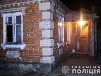Убил мать топором из-за того, что требовала найти работу: в Донецкой области задержали злоумышленника