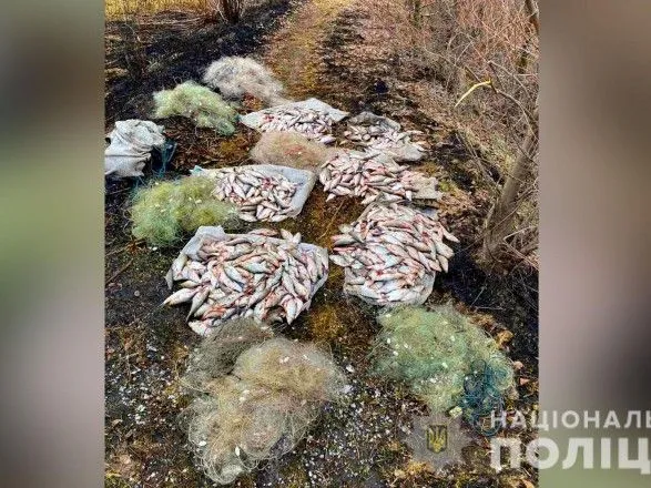 Незаконно наловив риби на понад 160 тисяч гривень: на Полтавщині викрили браконьєра