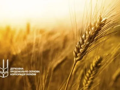 Эксперт объяснил, почему "Государственная продовольственно-зерновая корпорация Украины" превратилась в кормилицу коррупционеров
