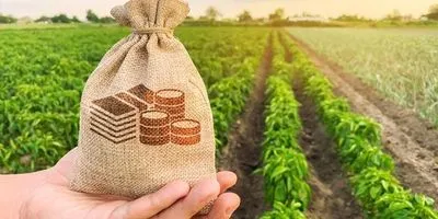 В 2021 году сельское хозяйство Украины восстановит растущую динамику - НААН